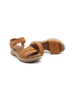 Paula Urban 24-521 Sunset