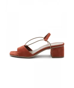 Reqins Osiris