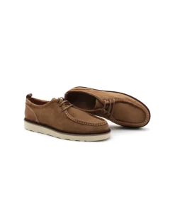 Schmoove Dock Derby