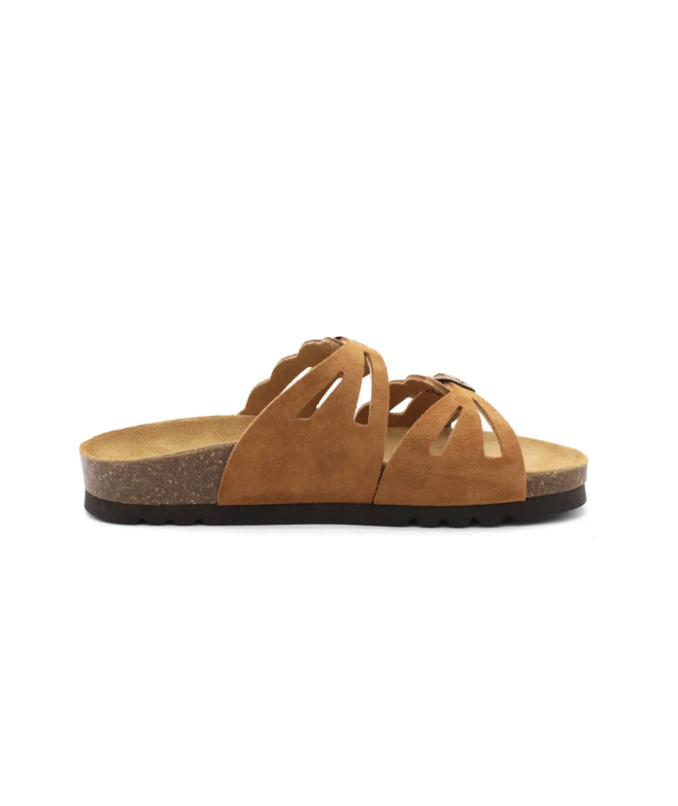 Scholl Jeanne