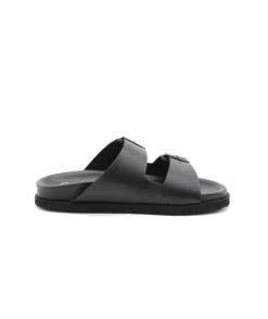 Scholl Josephine