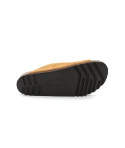 Scholl Julien