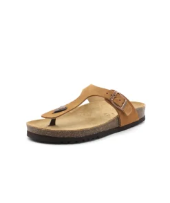 Scholl Nicole