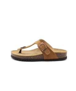 Scholl Nicole