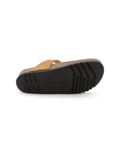 Scholl Nicole