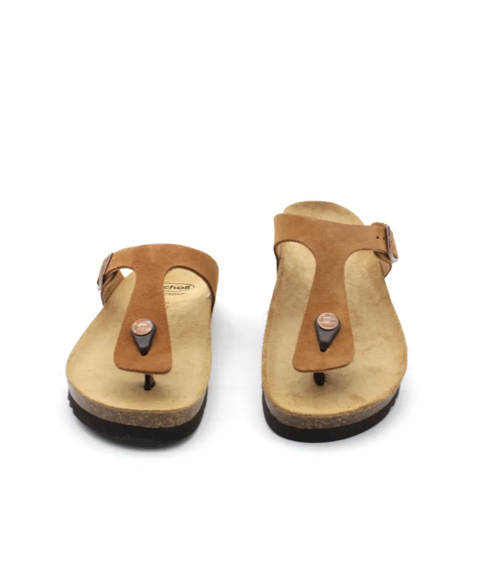 Scholl Nicole