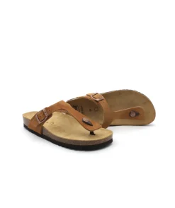 Scholl Nicole