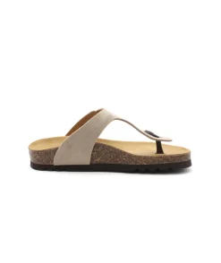 Scholl Nicole