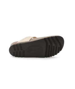 Scholl Nicole