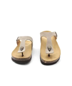 Scholl Nicole