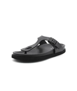Scholl Nicole Over