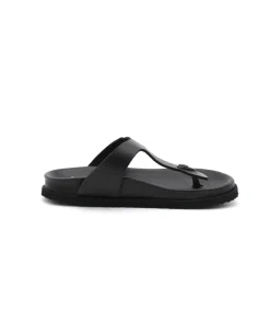 Scholl Nicole Over