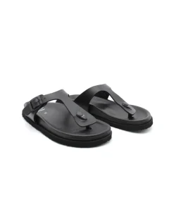 Scholl Nicole Over