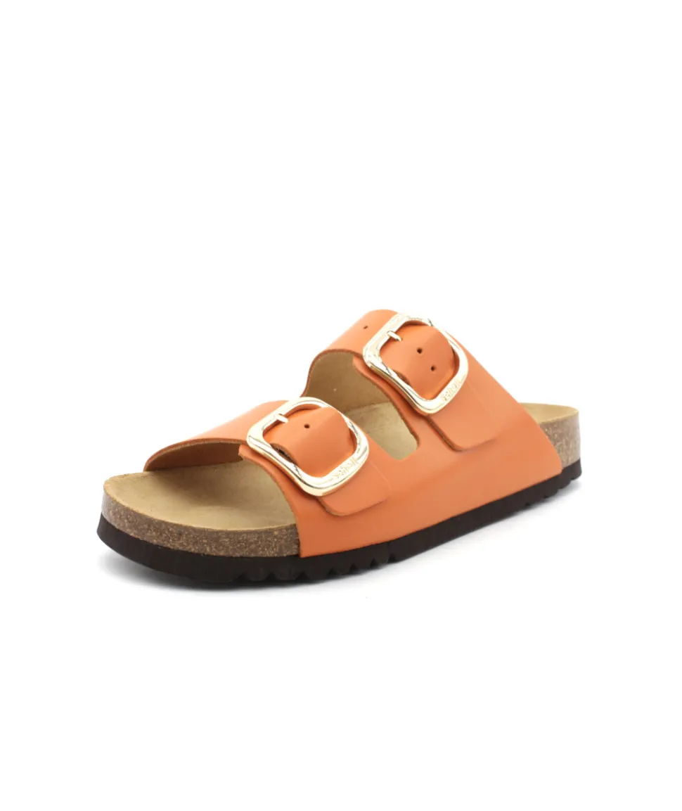 Scholl Noelle