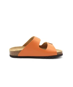 Scholl Noelle