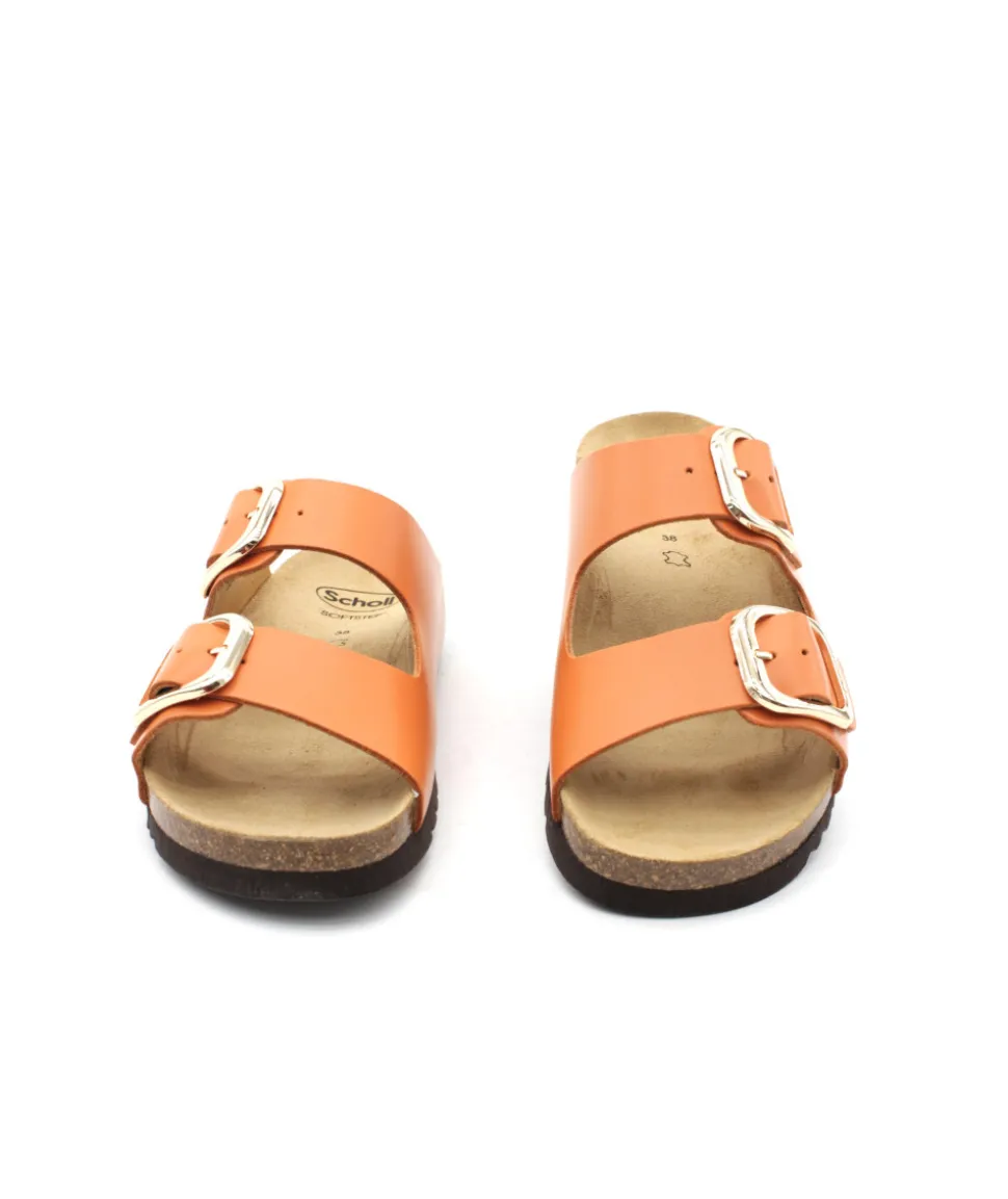Scholl Noelle
