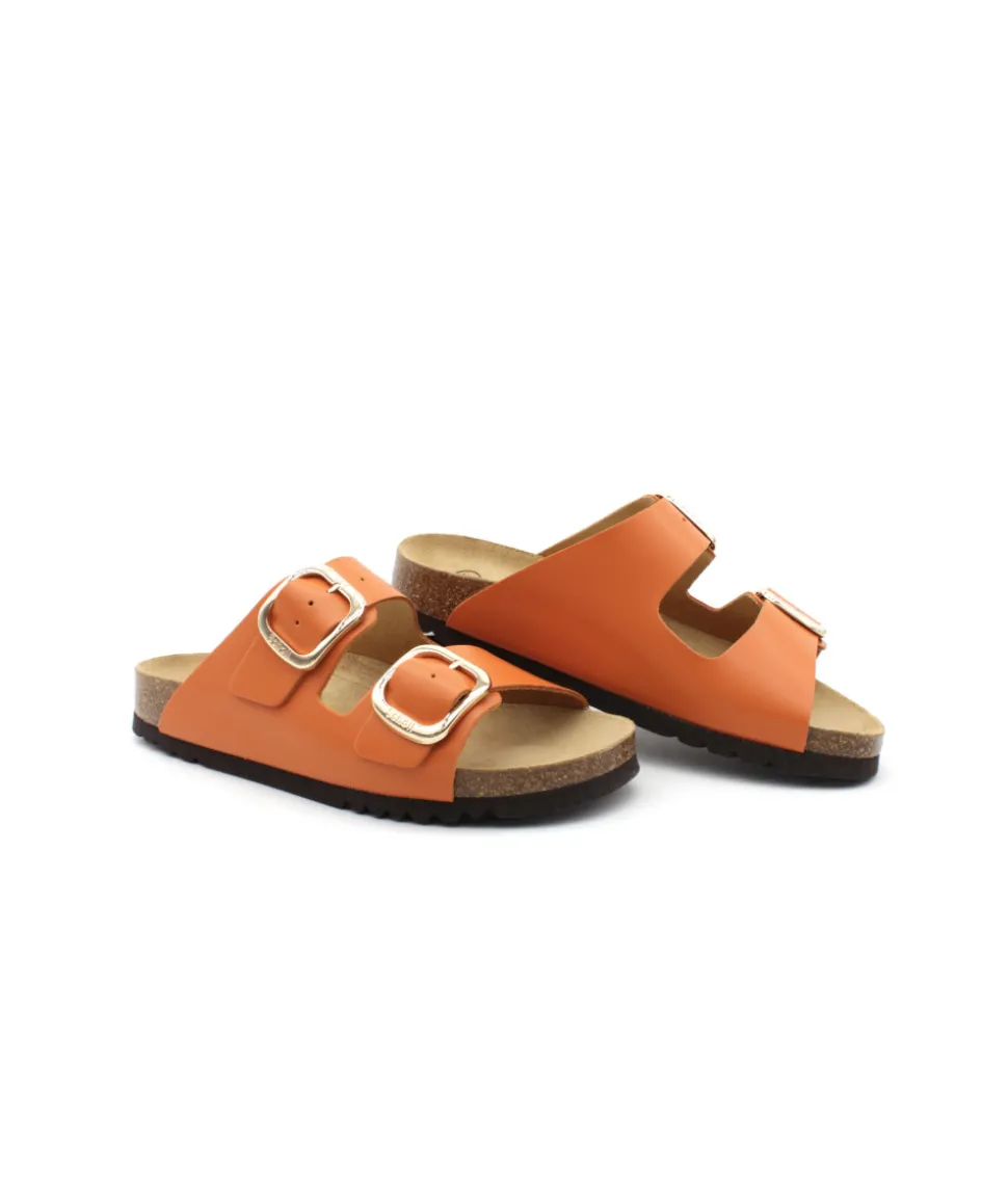 Scholl Noelle