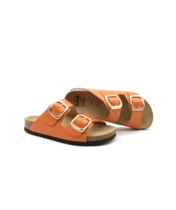 Scholl Noelle