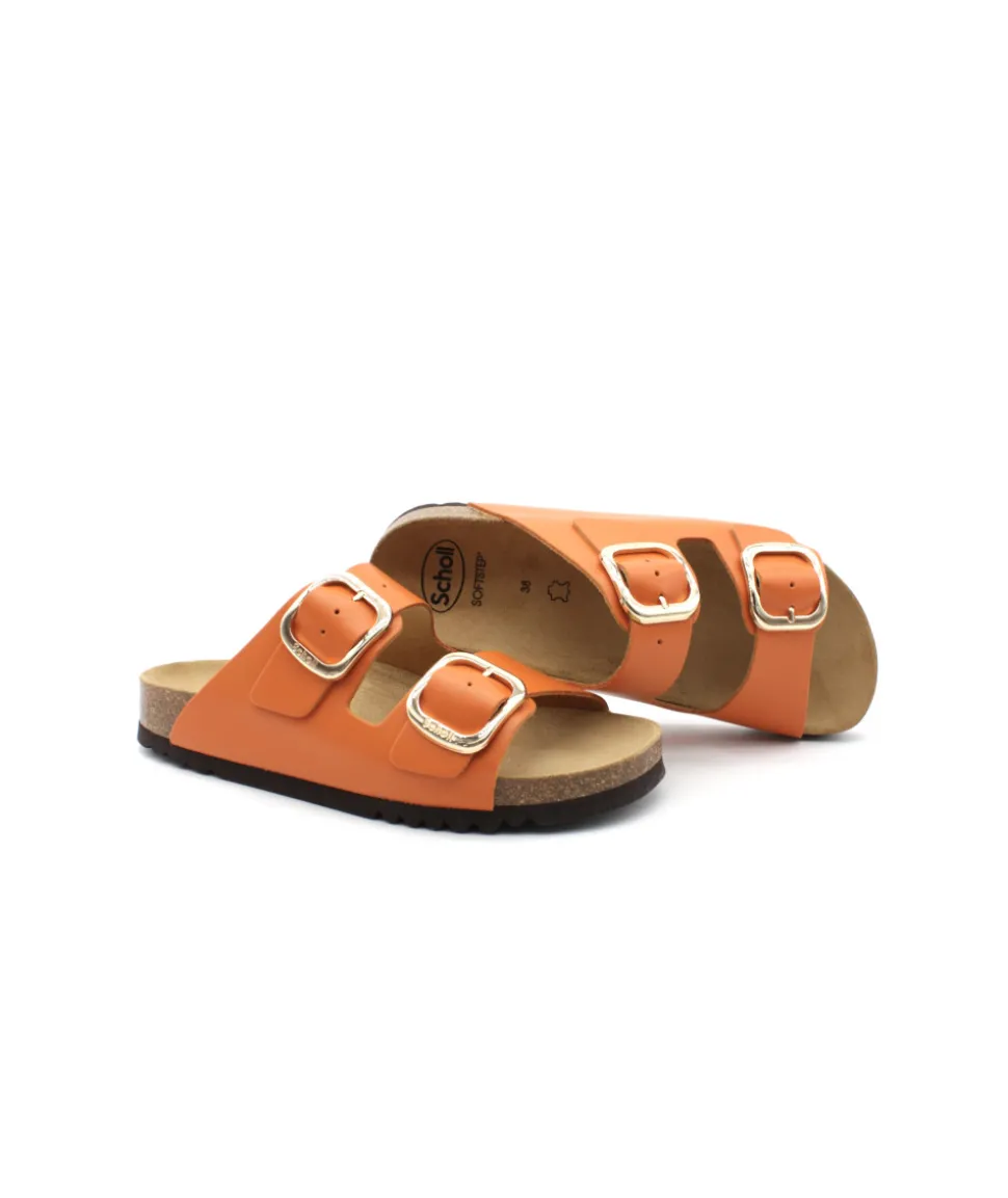 Scholl Noelle