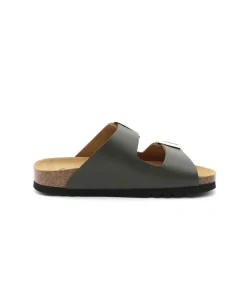 Scholl Noelle