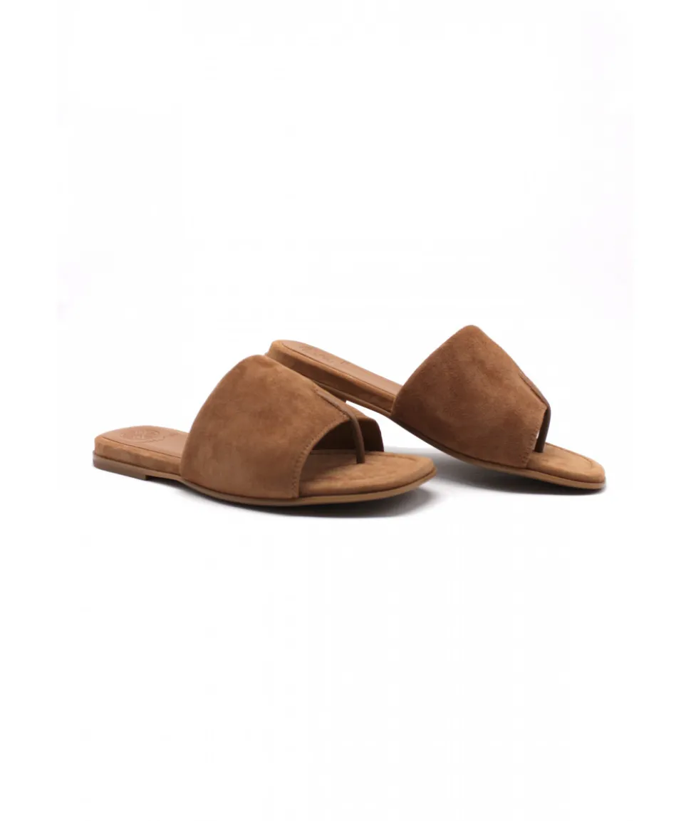 Unisa Chaco