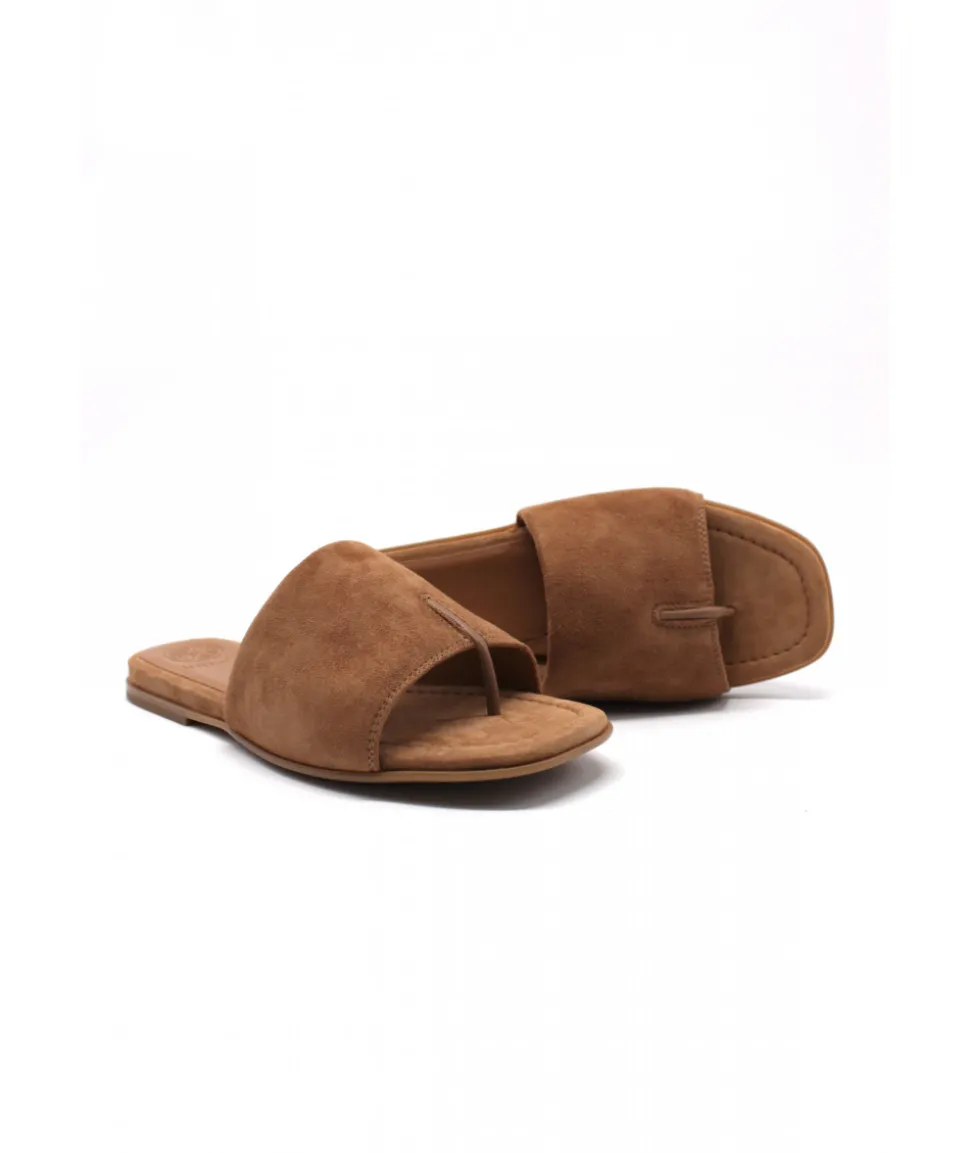 Unisa Chaco