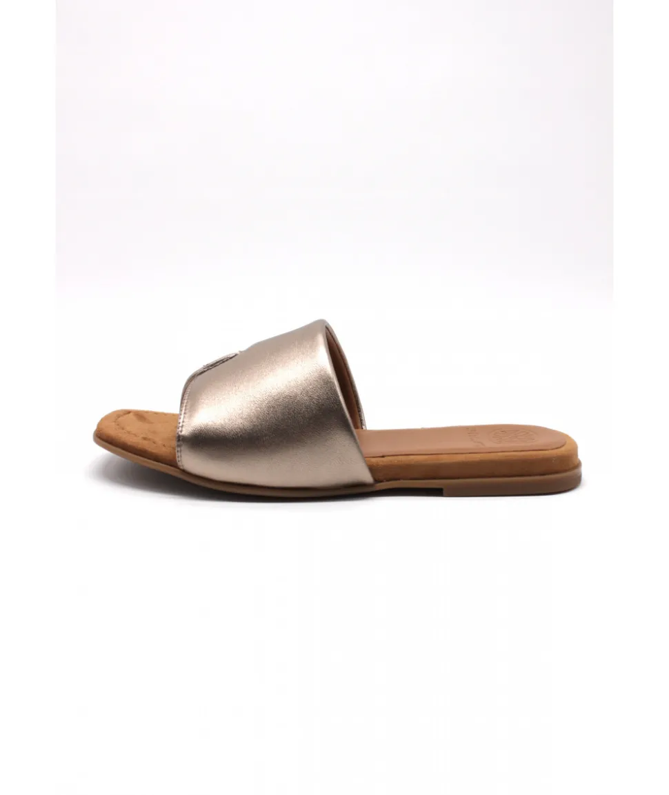 Unisa Chaco