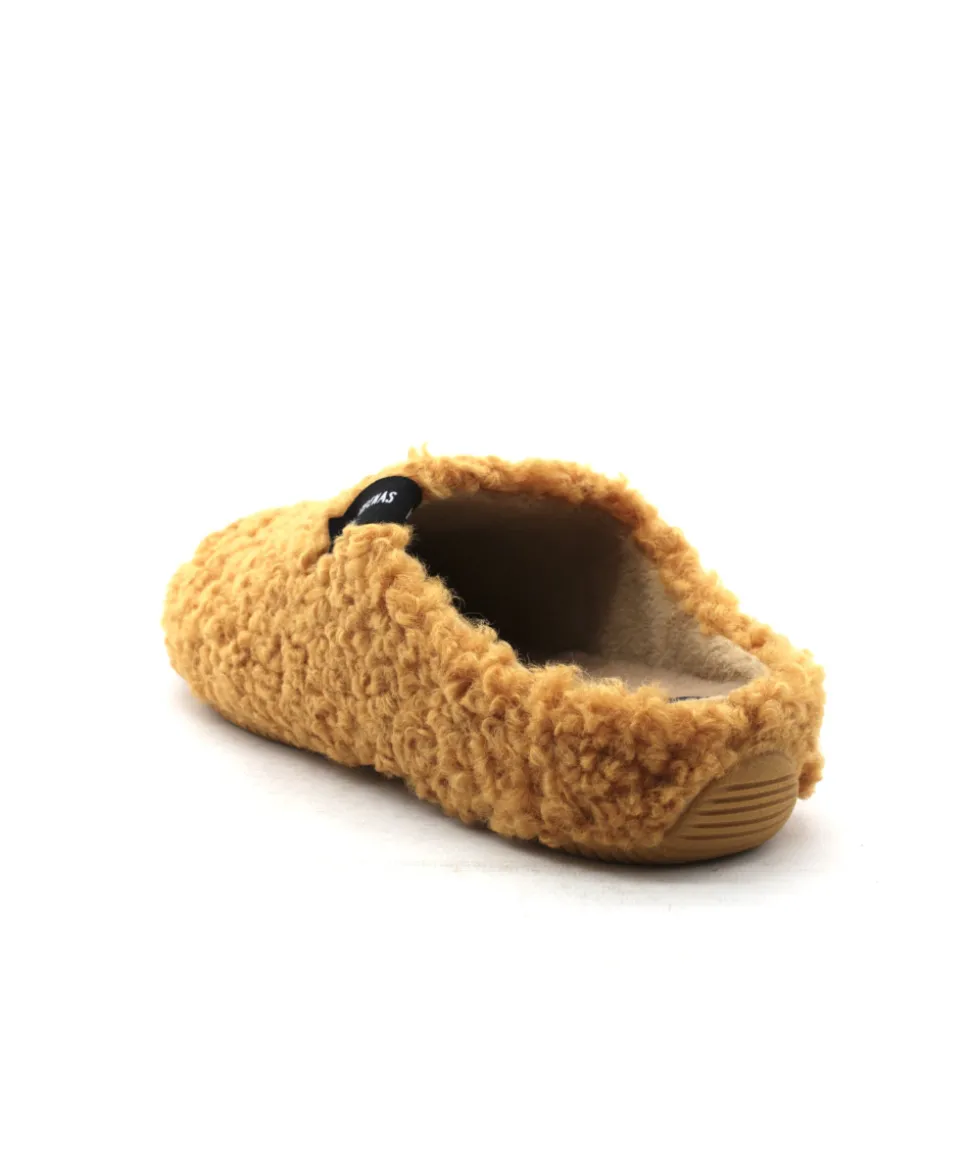 Verbenas York Curly