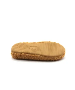 Verbenas York Curly