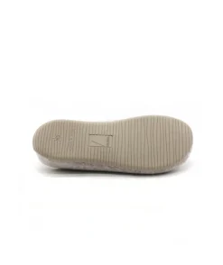 Verbenas York Fieltro Pet