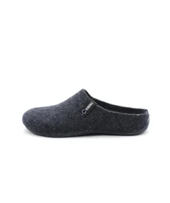 Verbenas York Fieltro Pet