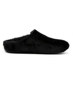 Verbenas York Groseto