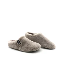 Verbenas York Groseto