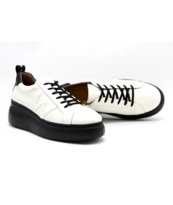 Wonders A2603