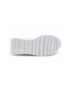 Wonders A2445