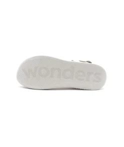 Wonders C6531