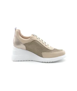 Wonders G6604